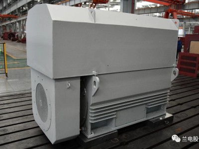 高壓電動機(jī)圖9