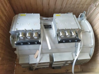 大功率驅(qū)動(dòng)電機(jī)圖3