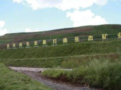 自然資源部：探索綠色礦山企業(yè)用地用礦等支持政策