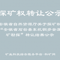 安徽省自然資源廳關(guān)于探礦權(quán)“安徽省石臺縣東坑銅多金屬礦勘探”轉(zhuǎn)讓結(jié)果公示