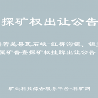 新疆若羌縣瓦石峽-紅柳溝鈮、鉭多金屬礦普查探礦權(quán)掛牌出讓公告