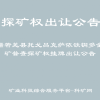 新疆若羌縣托戈呂克薩依鐵銅多金屬礦普查探礦權(quán)掛牌出讓公告