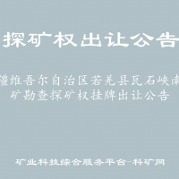 新疆維吾爾自治區(qū)若羌縣瓦石峽南鋰礦勘查探礦權(quán)掛牌出讓公告