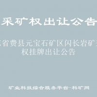 山東省費(fèi)縣元寶石礦區(qū)閃長巖礦采礦權(quán)掛牌出讓公告