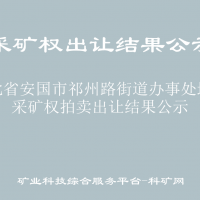 河北省安國市祁州路街道辦事處地?zé)岵傻V權(quán)拍賣出讓結(jié)果公示