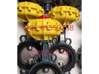 原裝正品德國依博羅角行程電動執(zhí)行器 E50-E210圖3