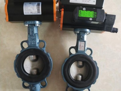 原裝正品 德國(guó)依博羅EBRO氣動(dòng)扇形蝶閥 價(jià)格優(yōu)惠速發(fā)貨圖3